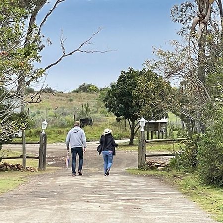 Zuurberg Mountain Village Addo Esterno foto