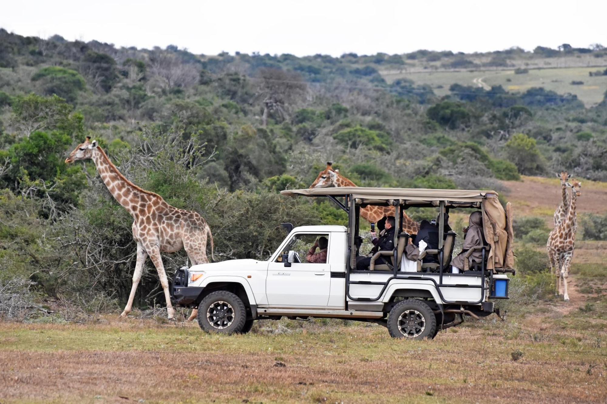 Zuurberg Mountain Village Addo Esterno foto
