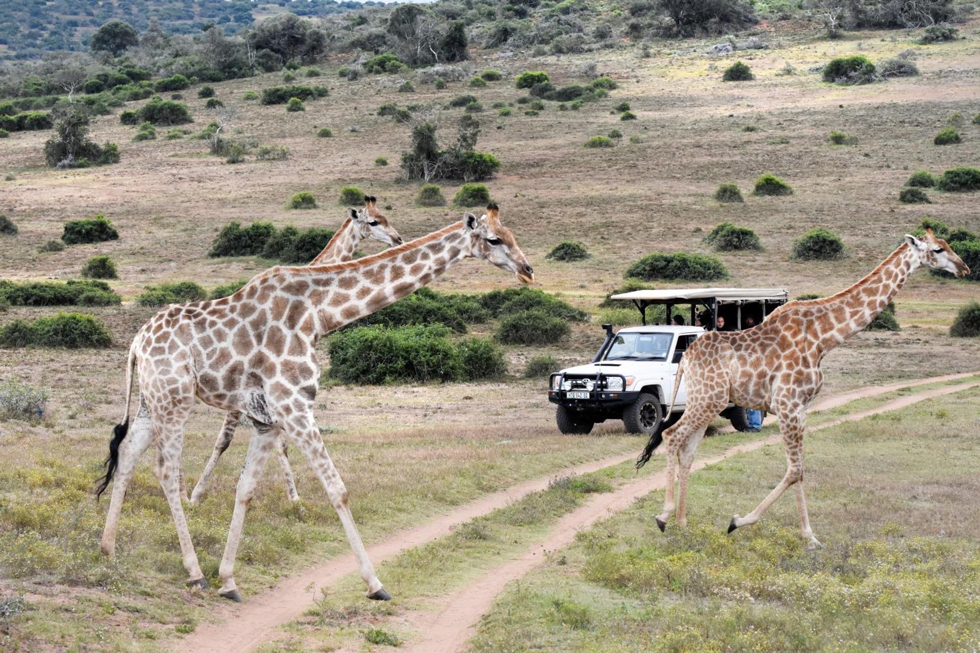 Zuurberg Mountain Village Addo Esterno foto